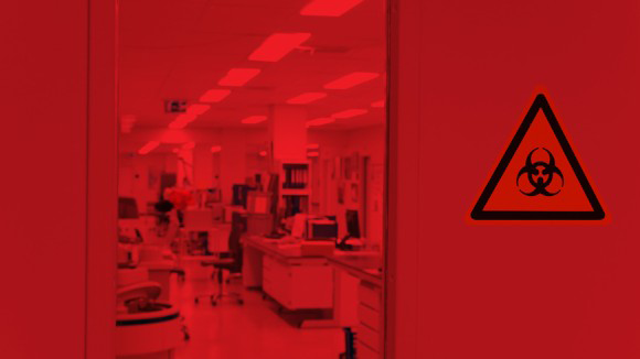 职业指南-科学中的自由与安全