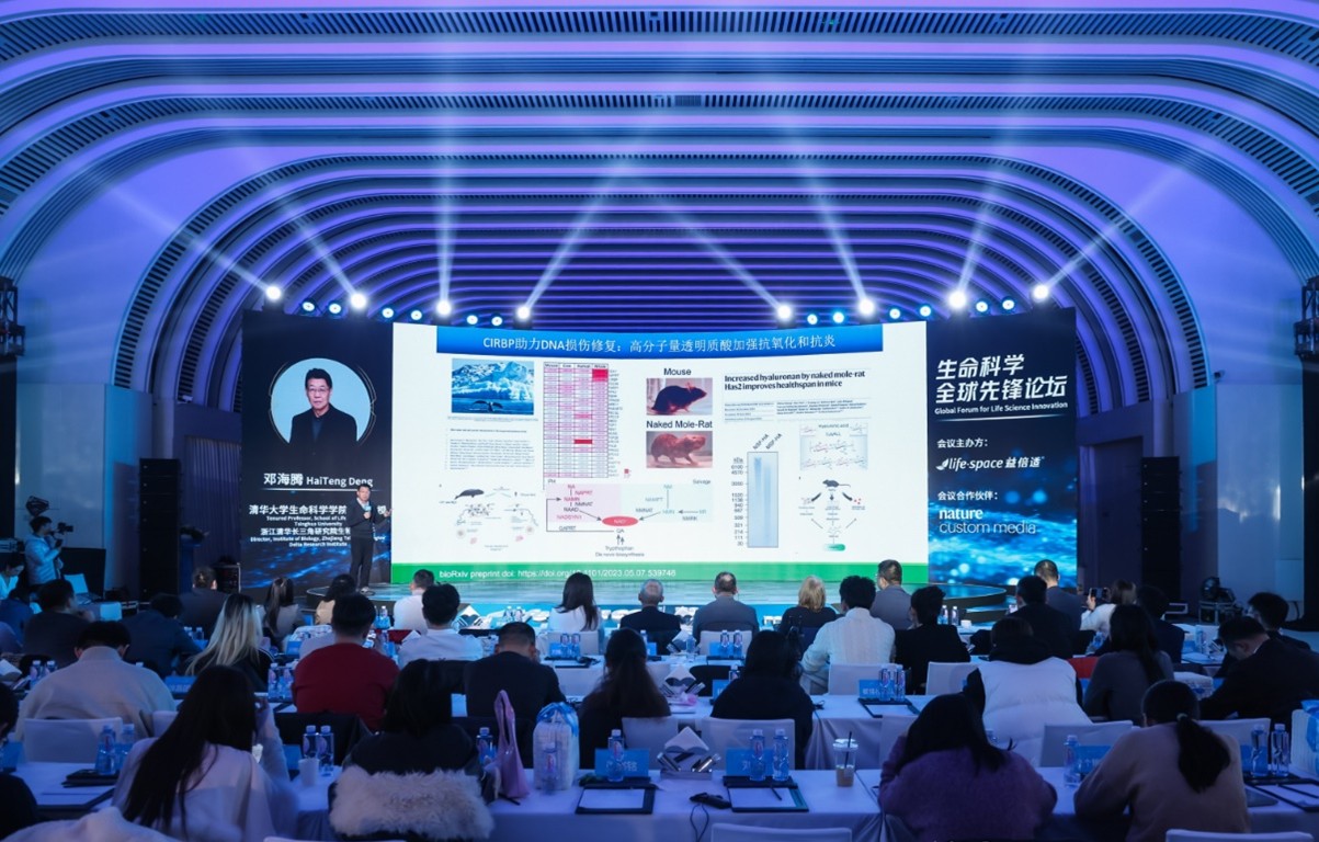 1771046748998419.jpg Picture8.jpg